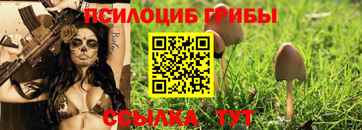 Псилоцибиновые грибы мицелий  Вход с VPN  Шарыпово 